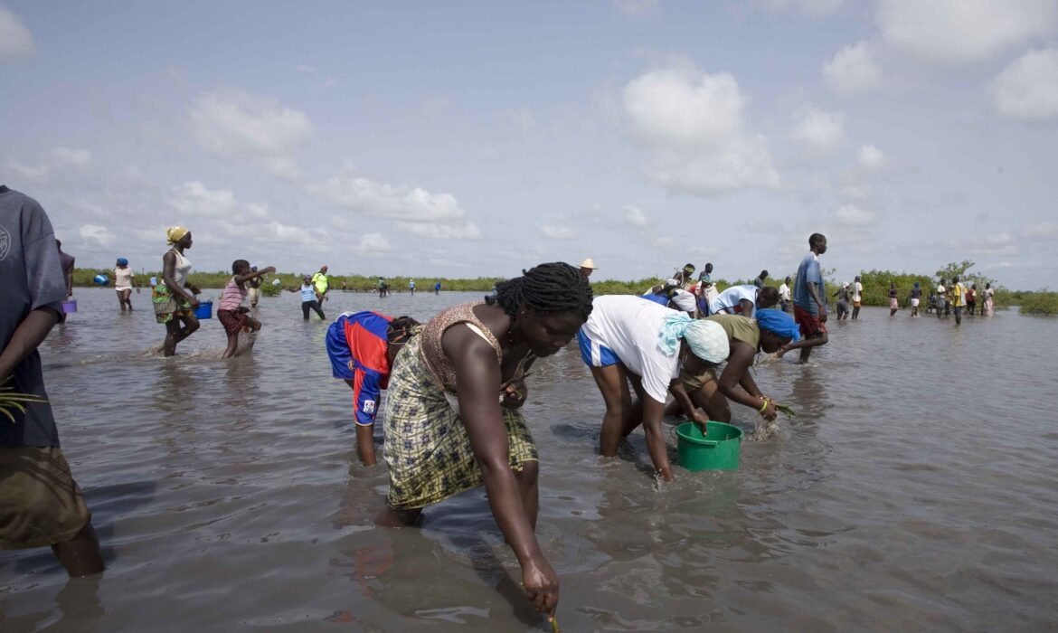 Somone : le comité de l’aire marine protégée rejette les accusations d’accaparement