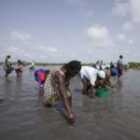 Somone : le comité de l’aire marine protégée rejette les accusations d’accaparement