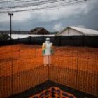 Ebola en RDC : l’OMS déclenche une urgence internationale face au variant Bundibugyo