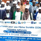 Pêche au Sénégal : la CONAPED juge l’ouverture à cinq navires « dangereuse »