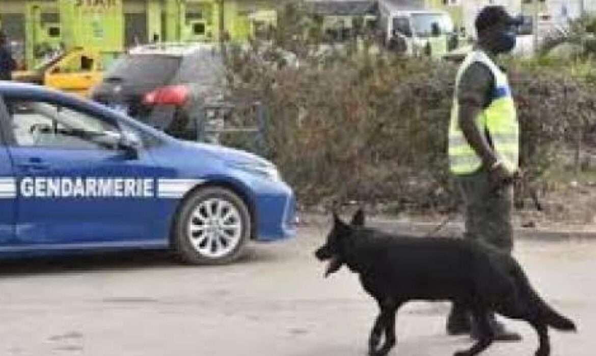 7 personnes écrouées dans une affaire de fausses cartes grises