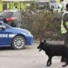 7 personnes écrouées dans une affaire de fausses cartes grises