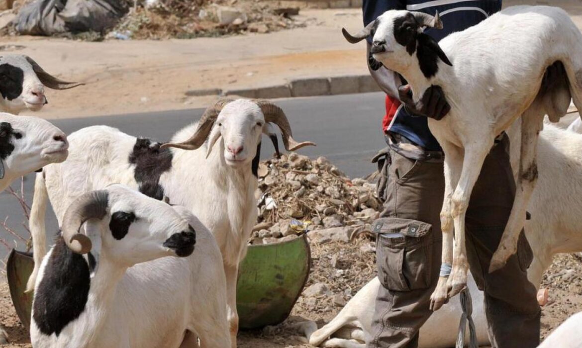 Tabaski 2026 au Sénégal : la commission fixe la date du 28 mai