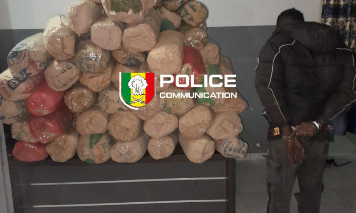 Sédhiou : un trafiquant arrêté, son complice en fuite après une saisie de 114 kg à Bounkiling