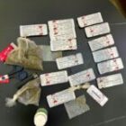 Diamniadio : Quatre étrangers arrêtés avec du kush et des médicaments illicites