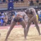 Gris Bordeaux bat Siteu, c&rsquo;est terminé au Dojo de Paris (vidéo)