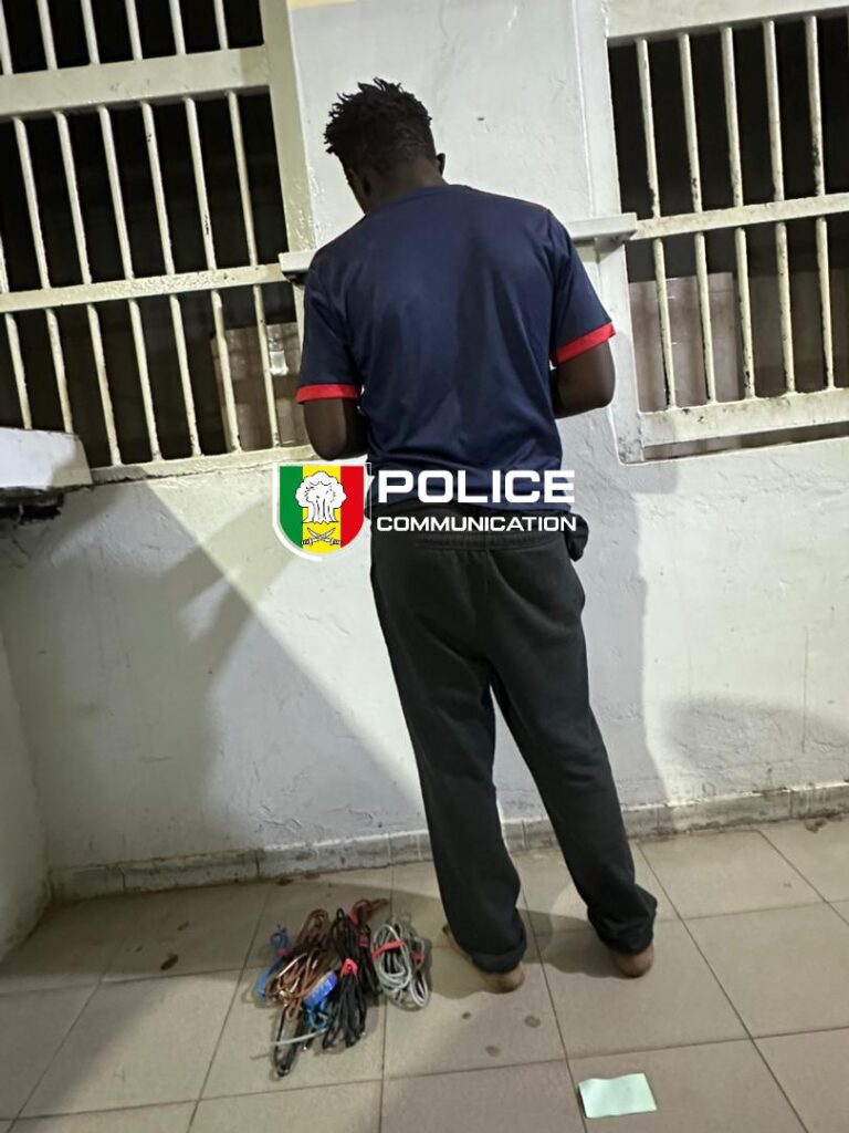 Un ouvrier placé en garde à vue pour vol de câbles au stade Iba Mar Diop