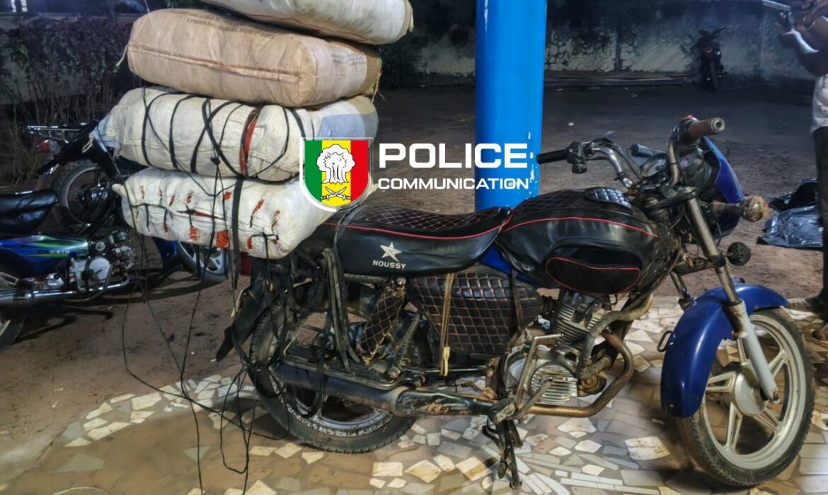 La police intercepte 64 kg de chanvre indien à Sédhiou