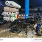 La police intercepte 64 kg de chanvre indien à Sédhiou